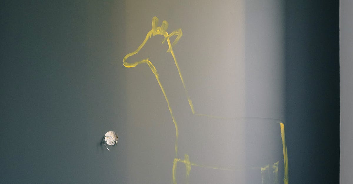 pexels-photo-5716304