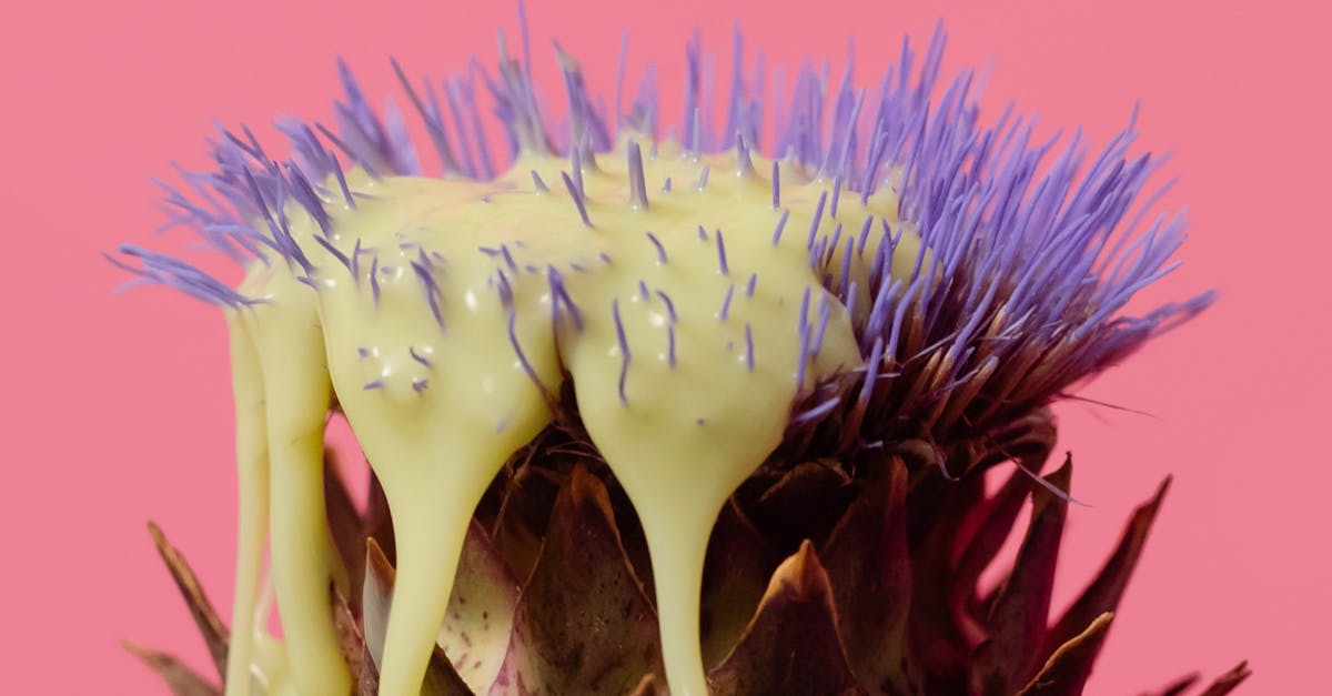 pexels-photo-5875727