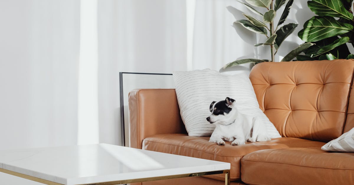 pexels-photo-5942742