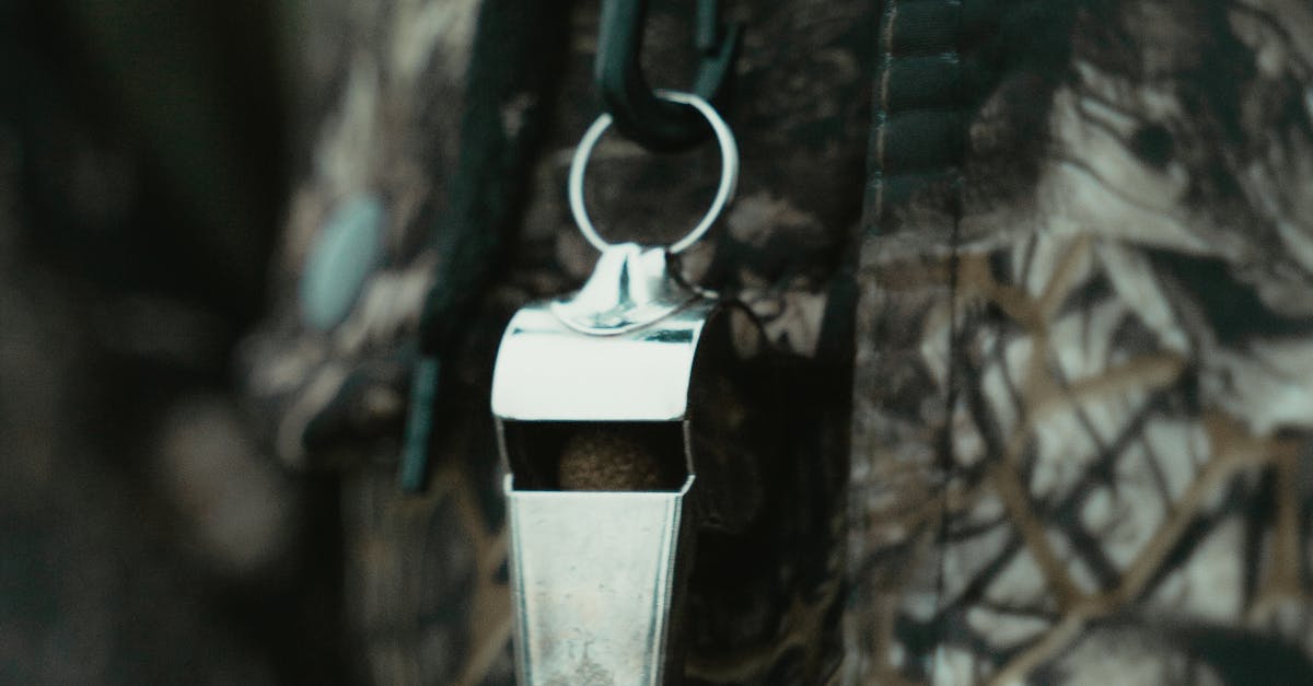 pexels-photo-6204479