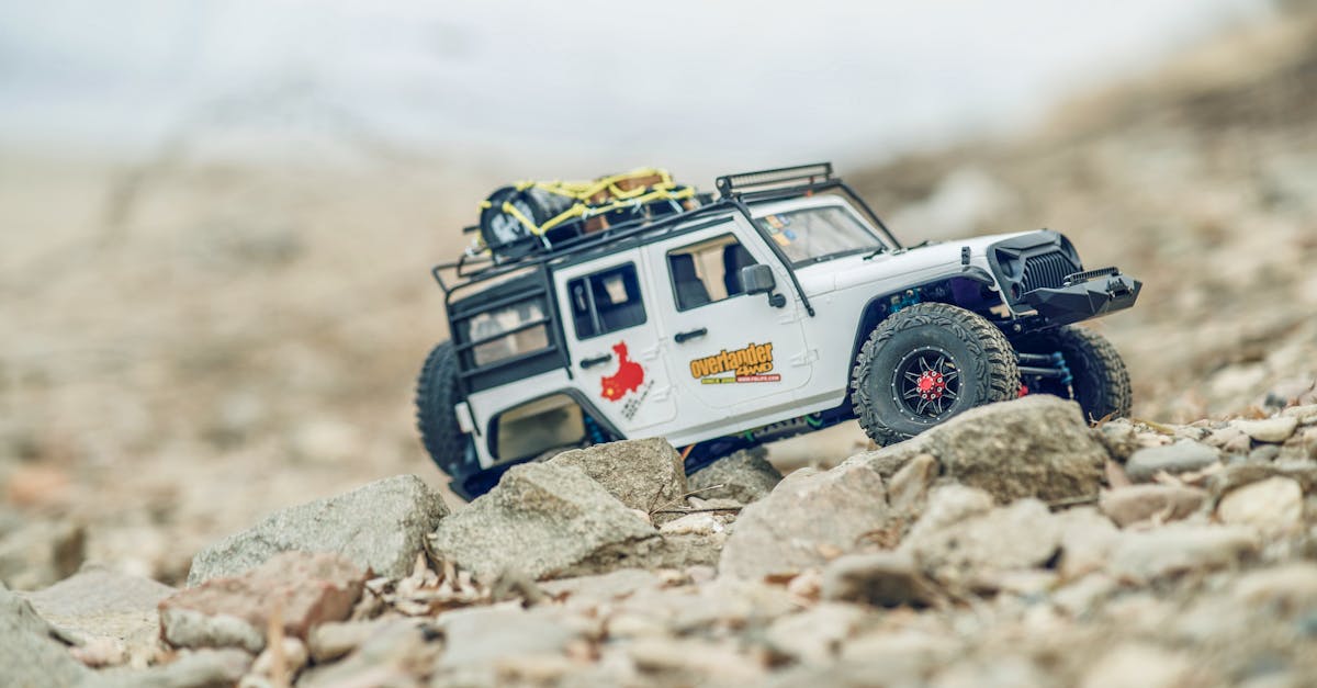 pexels-photo-6779864-2