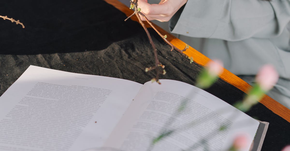 pexels-photo-6932919