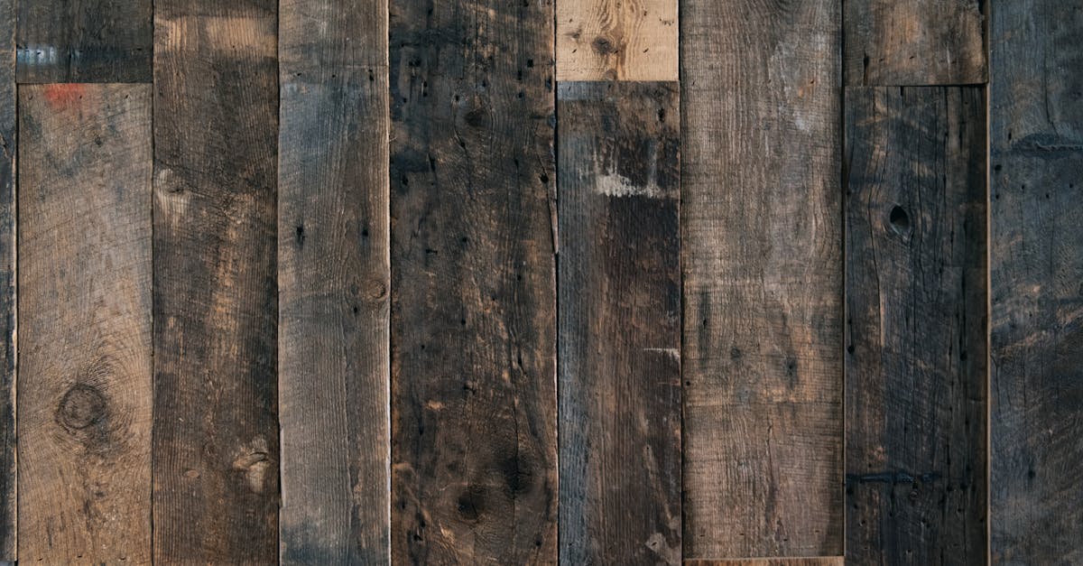 pexels-photo-7104017