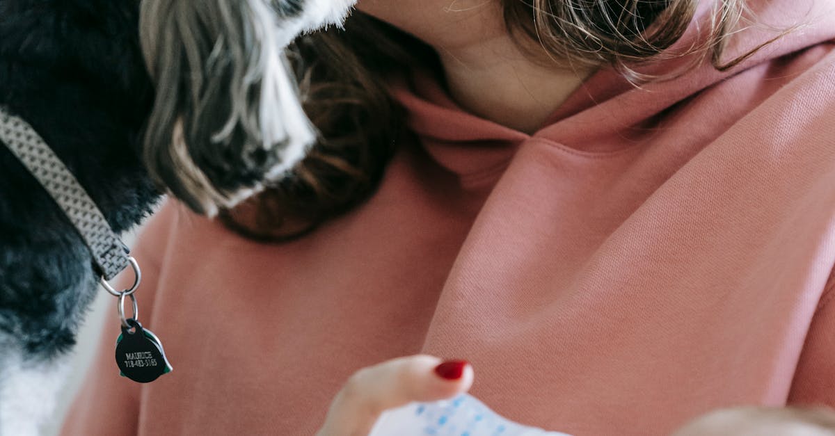 pexels-photo-7282323