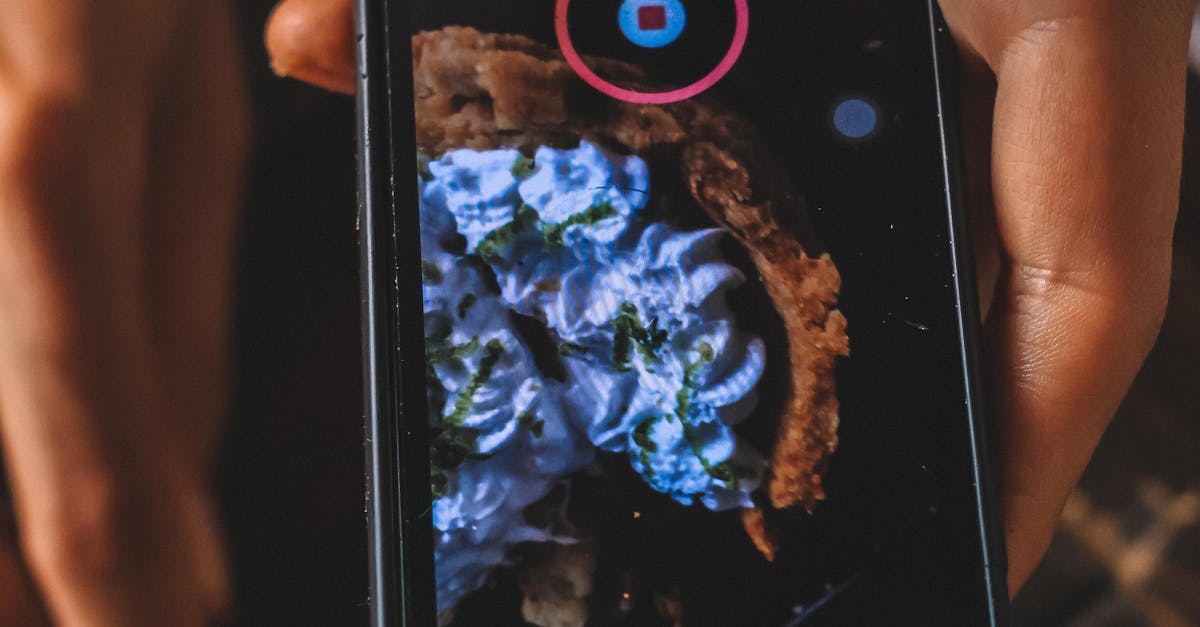 pexels-photo-7366495