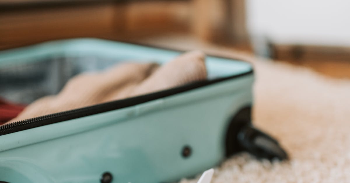 pexels-photo-7368202