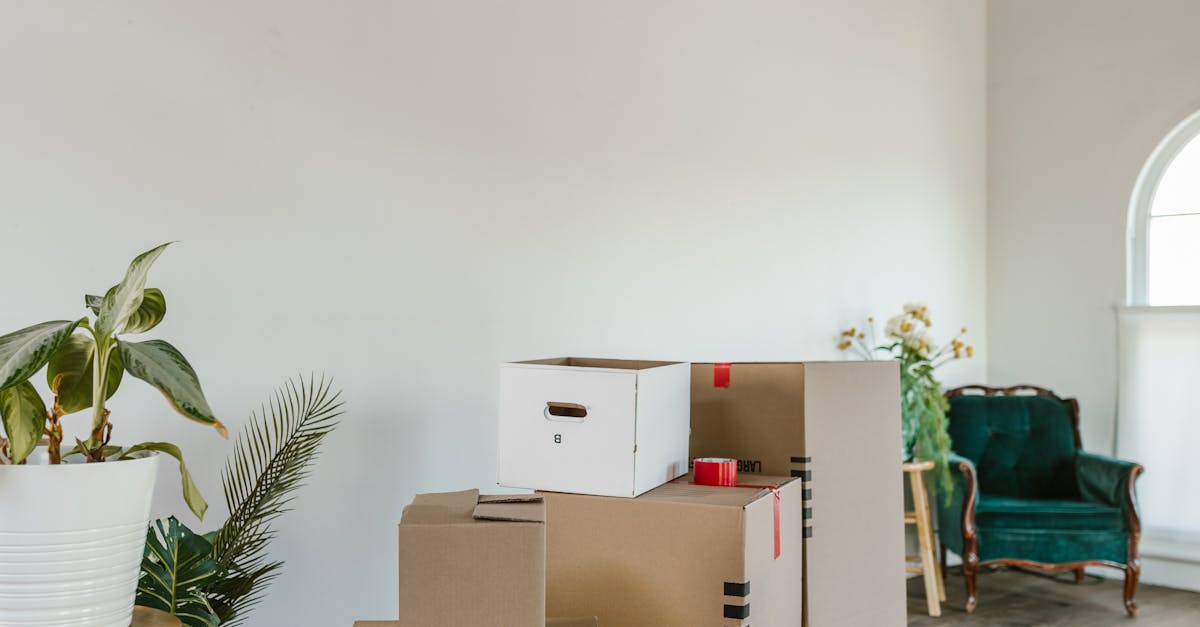 pexels-photo-7464209