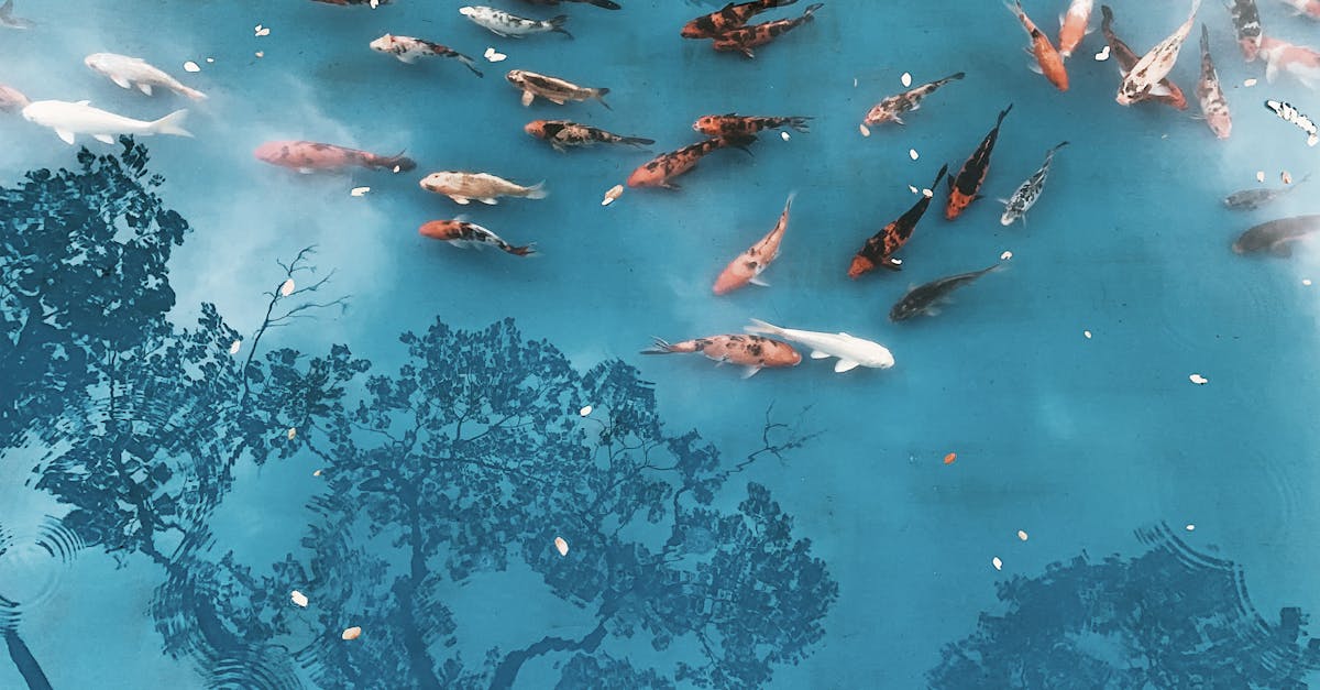 pexels-photo-7565647