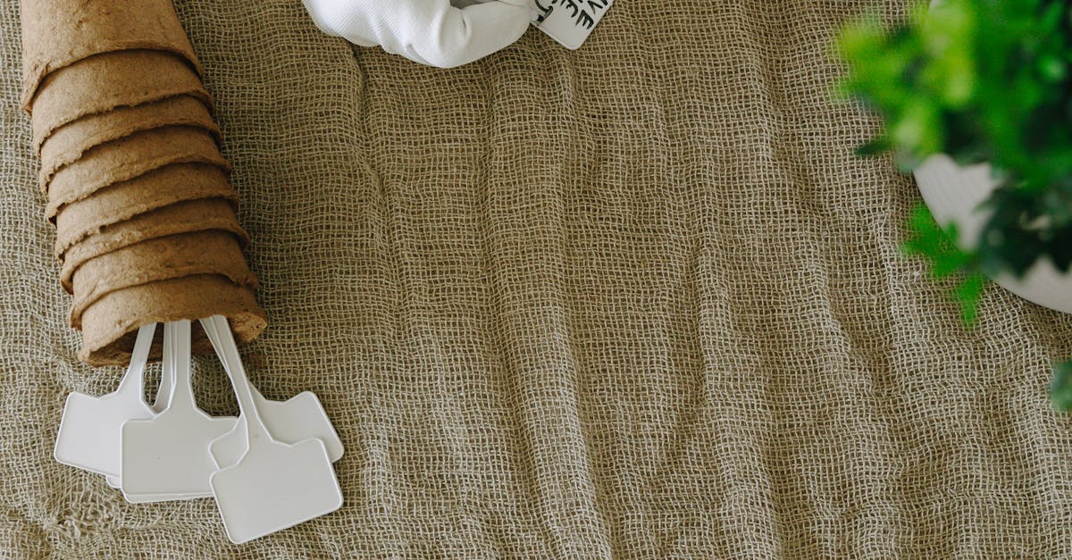 pexels-photo-7655619