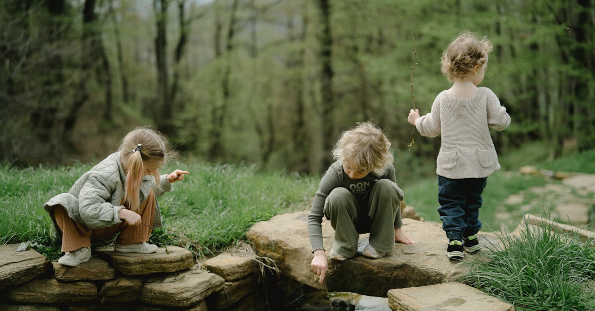 pexels-photo-7671083