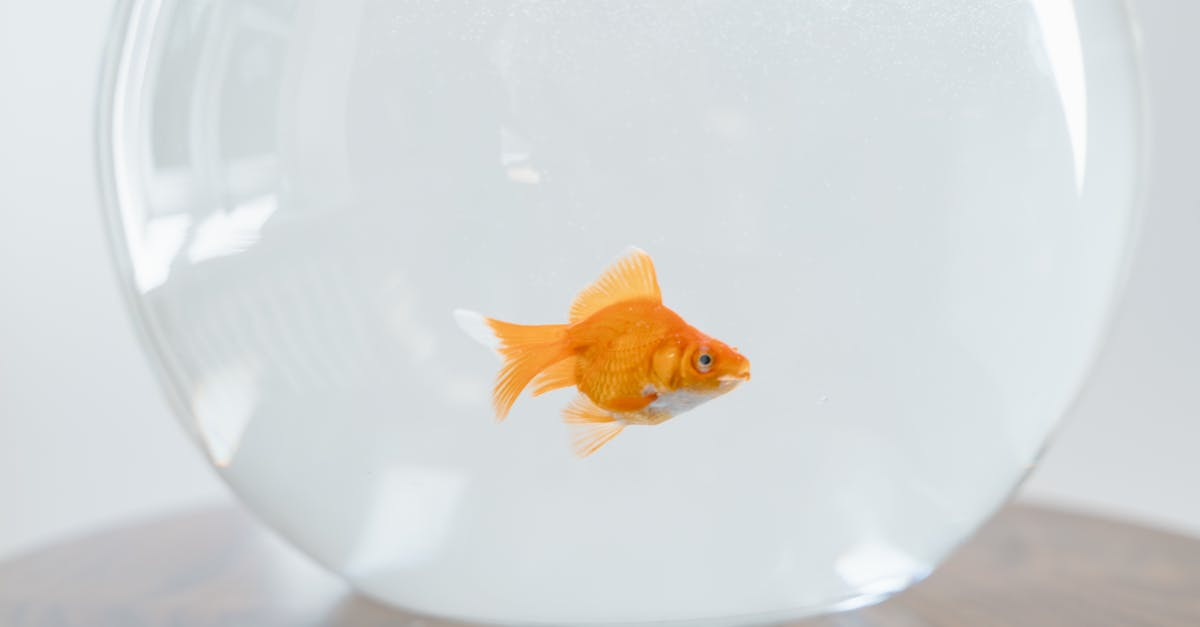 pexels-photo-8434726