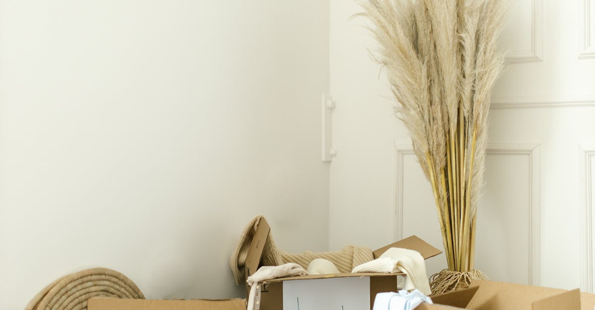 pexels-photo-8581413