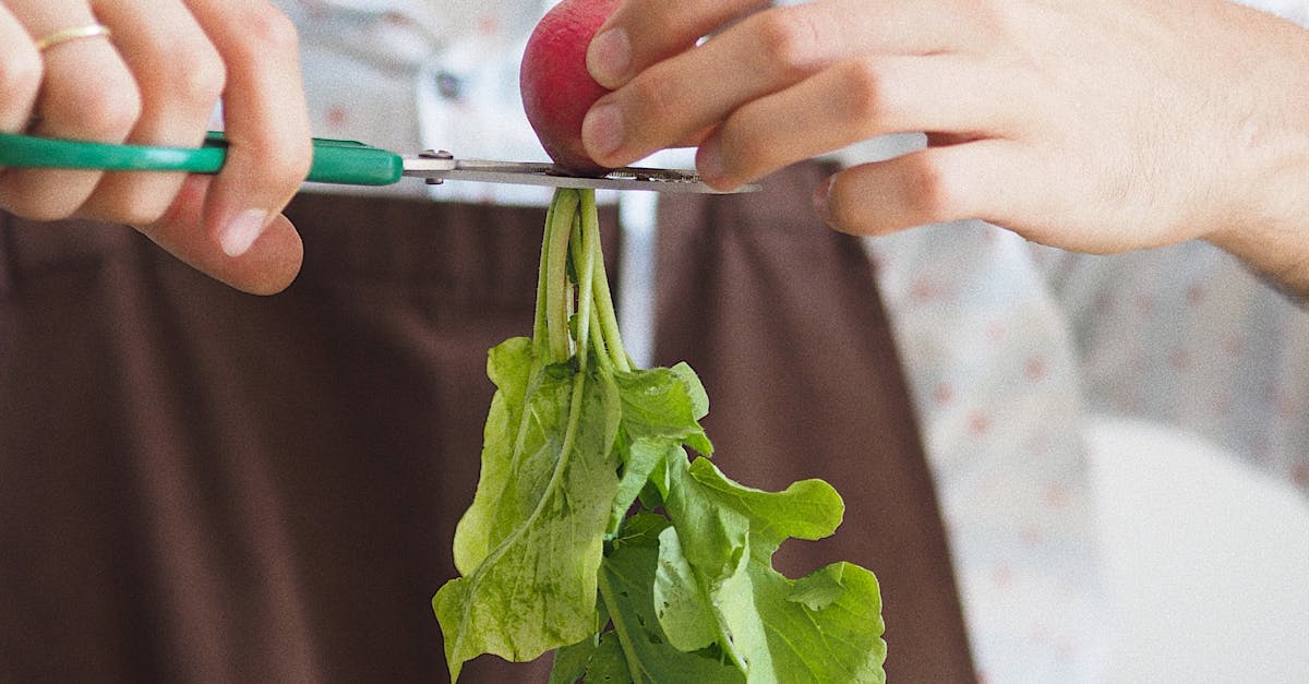 pexels-photo-9005923