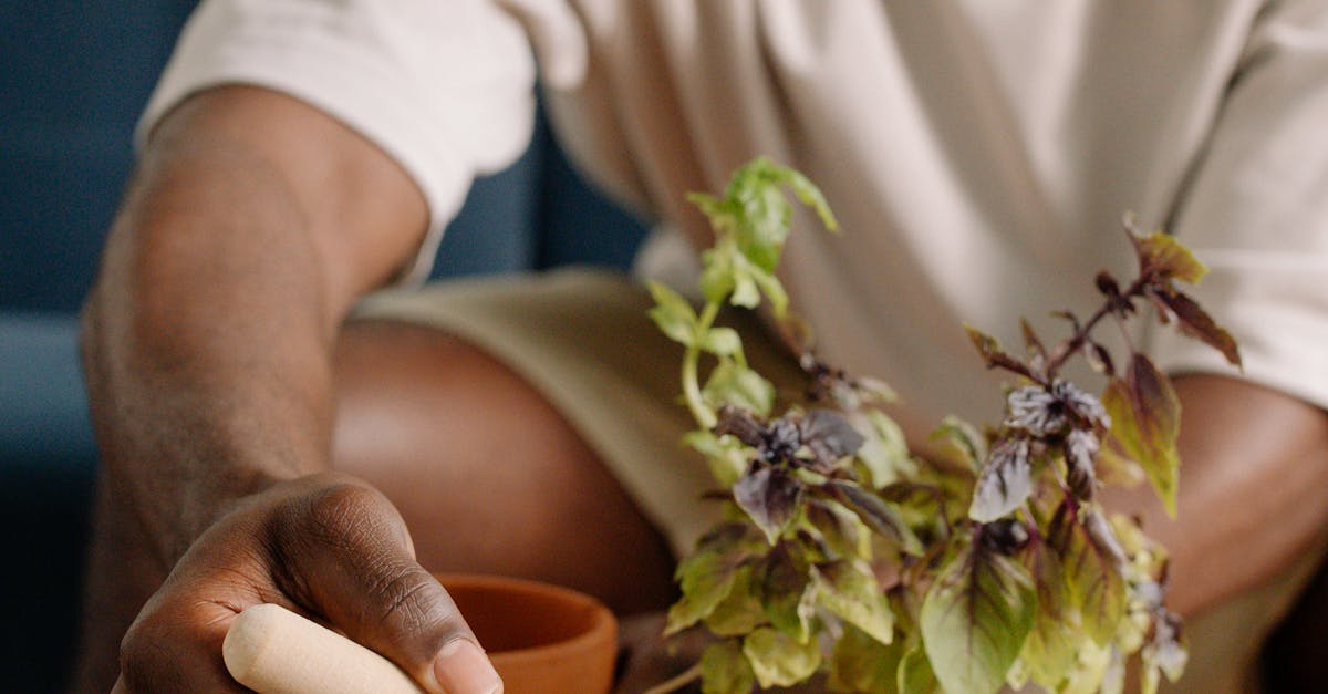 pexels-photo-9709221